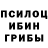 Галлюциногенные грибы Cubensis Edward Carr