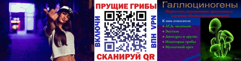 Псилоцибиновые грибы GOLDEN TEACHER купить наркоту Курган